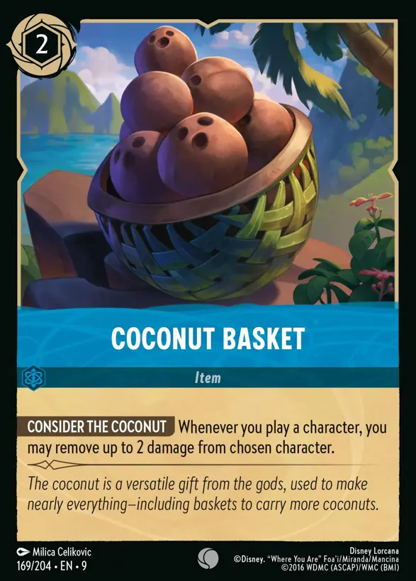 169/204 Coconut Basket