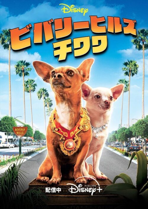 ディズニープラスでチワワ映画紹介・ツムツムにKH新ツム登場・ロルカナ新カード公開【2026年2月1日】 ディズニープラスでチワワ映画紹介・ツムツムにKH新ツム登場・ロルカナ新カード公開【2026年2月1日】