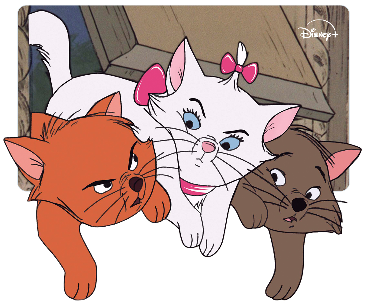 おしゃれキャットのマリー、ベルリオーズ、トゥルーズの3兄弟