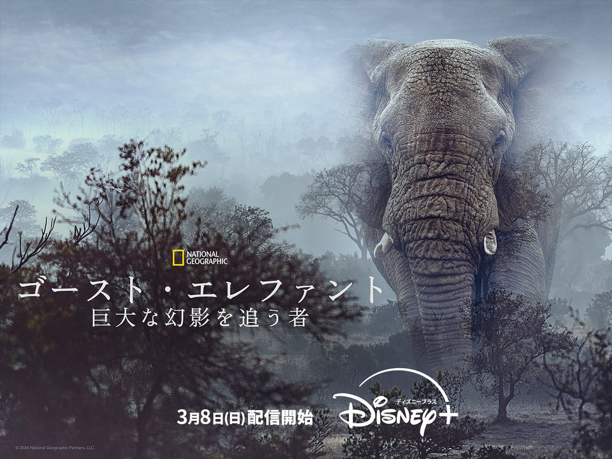 「私がビーバーになる時」声優チャレンジ・Disney+新ドキュメンタリー配信・ツムツム新コラボ【2026年3月8日】 「私がビーバーになる時」声優チャレンジ・Disney+新ドキュメンタリー配信・ツムツム新コラボ【2026年3月8日】